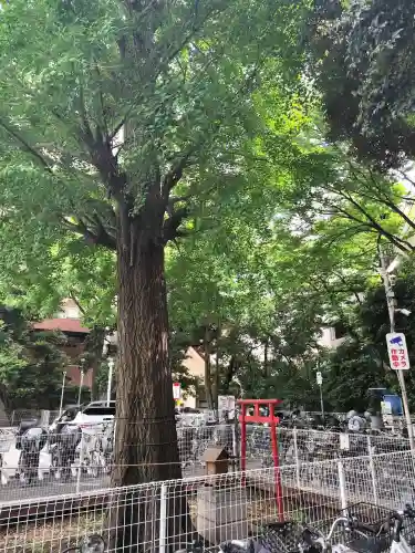 稲荷神社の{uncategorized: "未分類", other: "その他", undefined: "問題あり", building: "その他建物", grave: "お墓", sacred_gate: "鳥居", guardian: "狛犬", statue: "像", buddha: "仏像", history: "歴史", nature: "自然", garden: "庭園", animal: "動物", pagoda: "塔", temizu: "手水舎", mountain_gate: "山門・神門", sanctuary: "本殿・本堂", subordinate: "末社・摂社", art: "芸術", scenery: "景色", jizo: "地蔵", ema: "絵馬", goshuin: "御朱印", omikuji: "おみくじ", items: "授与品その他", amulet: "お守り", goshuincho: "御朱印帳", eats: "食事", festival: "お祭り", votive_dance: "神楽", shichigosan: "七五三参", wedding: "結婚式", experience: "体験その他", initially: "初詣", around: "周辺", anti_infection: "感染症対策"}