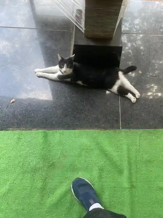 榛名神社(群馬県)
