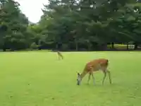 春日大社の周辺