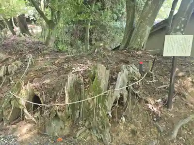 正法寺(滋賀県)