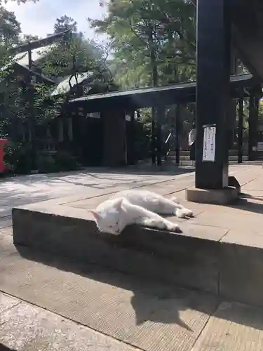 愛宕神社(東京都)