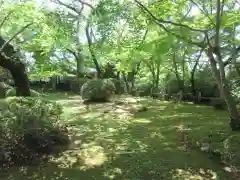 勝持寺（花の寺）(京都府)