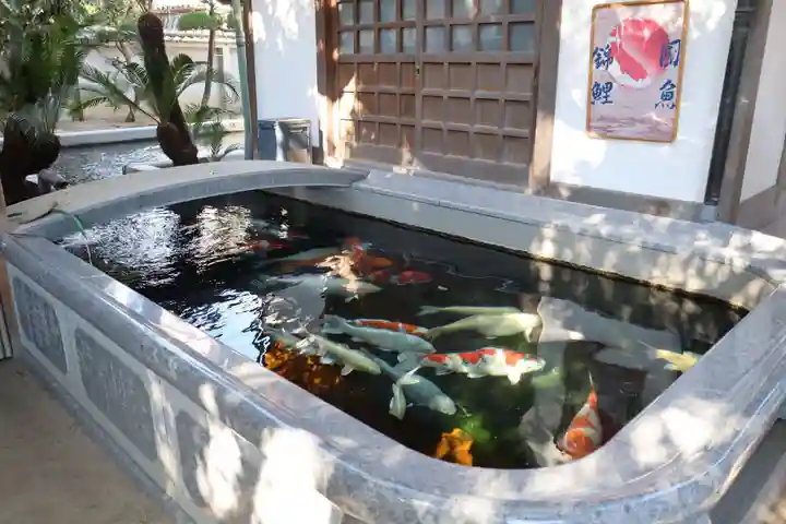 大聖観音寺(あびこ観音)の動物