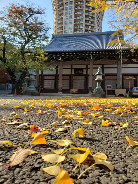 善福寺の本殿・本堂