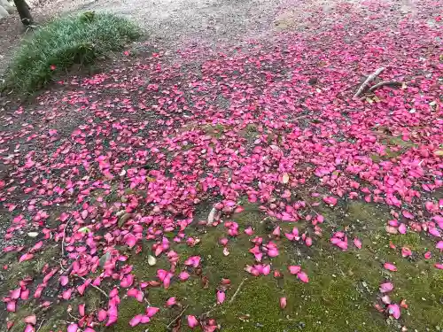 白金龍王社の{uncategorized: "未分類", other: "その他", undefined: "問題あり", building: "その他建物", grave: "お墓", sacred_gate: "鳥居", guardian: "狛犬", statue: "像", buddha: "仏像", history: "歴史", nature: "自然", garden: "庭園", animal: "動物", pagoda: "塔", temizu: "手水舎", mountain_gate: "山門・神門", sanctuary: "本殿・本堂", subordinate: "末社・摂社", art: "芸術", scenery: "景色", jizo: "地蔵", ema: "絵馬", goshuin: "御朱印", omikuji: "おみくじ", items: "授与品その他", amulet: "お守り", goshuincho: "御朱印帳", eats: "食事", festival: "お祭り", votive_dance: "神楽", shichigosan: "七五三参", wedding: "結婚式", experience: "体験その他", initially: "初詣", around: "周辺", anti_infection: "感染症対策"}