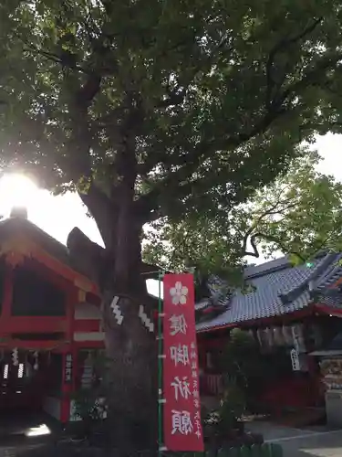 足の神様 服部天神宮の本殿・本堂