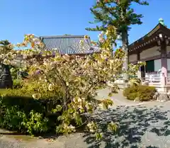 蓮華寺(京都府)