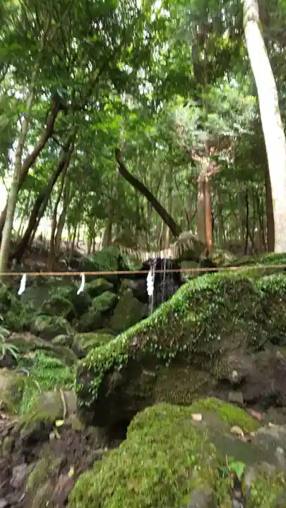 出雲大神宮(京都府)