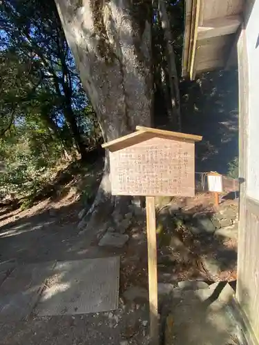 丹生川上神社（下社）の歴史