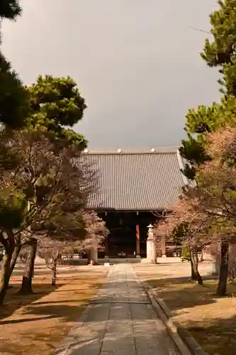 妙顯寺（妙顕寺）(京都府)