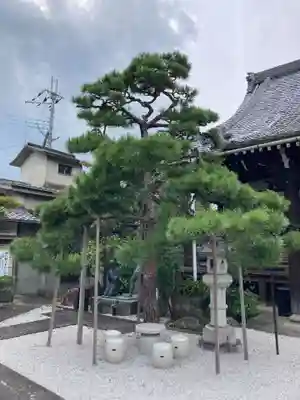 光徳寺(滋賀県)