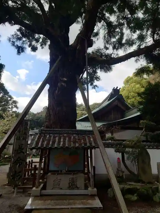極楽寺(徳島県)