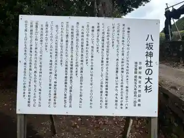 八坂神社(京都府)