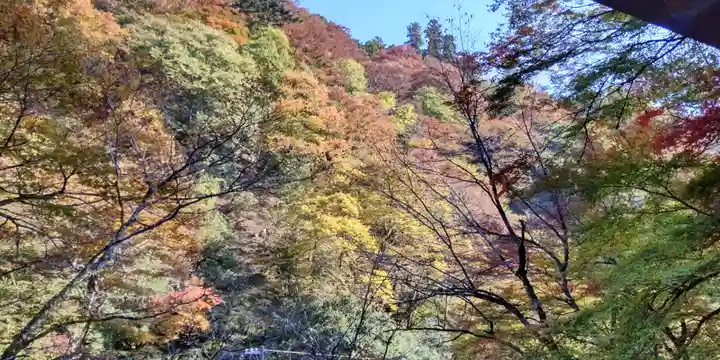 貴船神社の自然