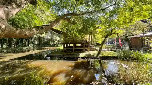 中尊寺の庭園