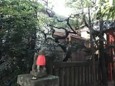 陽運寺の狛犬