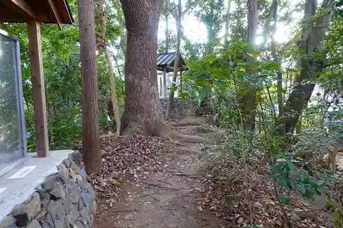 新熊野神社の自然