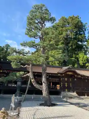 多賀大社(滋賀県)