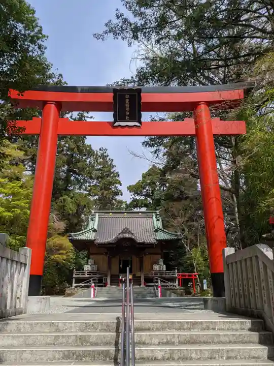 白笹稲荷神社の鳥居