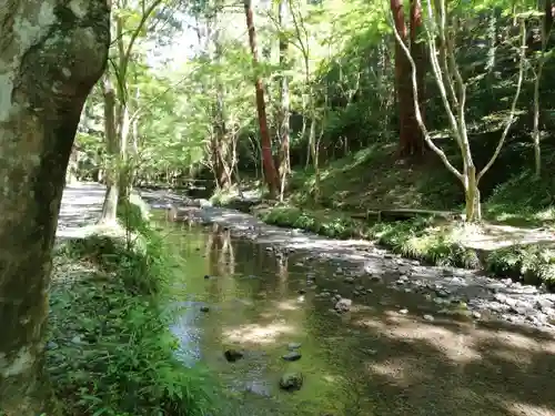 小國神社の自然