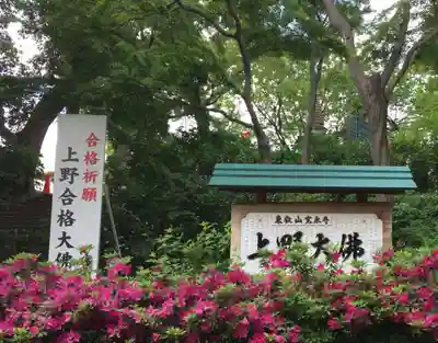 上野大佛のその他建物