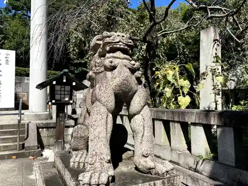 乃木神社の狛犬