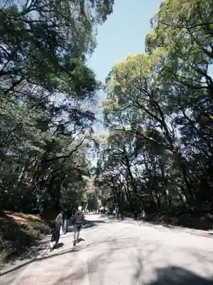 明治神宮(東京都)