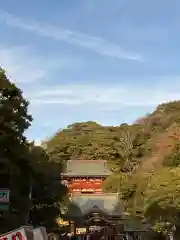 鶴岡八幡宮(神奈川県)