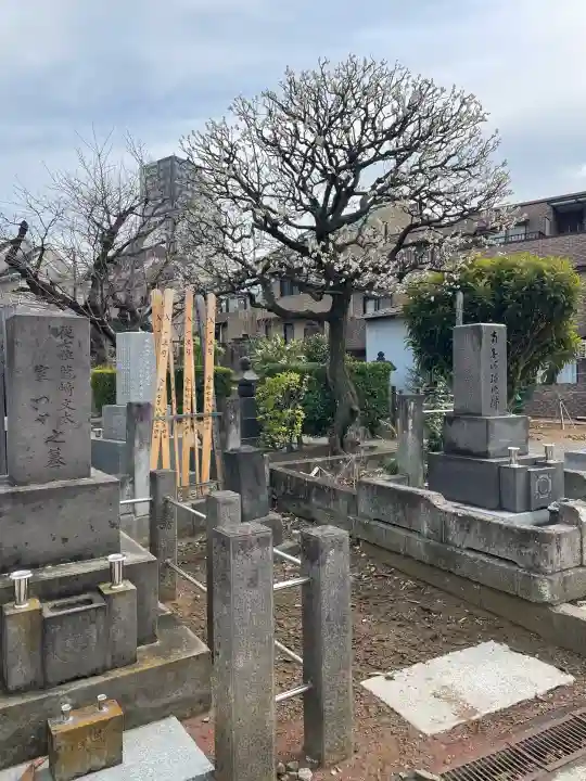 浄運寺の{uncategorized: "未分類", other: "その他", undefined: "問題あり", building: "その他建物", grave: "お墓", sacred_gate: "鳥居", guardian: "狛犬", statue: "像", buddha: "仏像", history: "歴史", nature: "自然", garden: "庭園", animal: "動物", pagoda: "塔", temizu: "手水舎", mountain_gate: "山門・神門", sanctuary: "本殿・本堂", subordinate: "末社・摂社", art: "芸術", scenery: "景色", jizo: "地蔵", ema: "絵馬", goshuin: "御朱印", omikuji: "おみくじ", items: "授与品その他", amulet: "お守り", goshuincho: "御朱印帳", eats: "食事", festival: "お祭り", votive_dance: "神楽", shichigosan: "七五三参", wedding: "結婚式", experience: "体験その他", initially: "初詣", around: "周辺", anti_infection: "感染症対策"}
