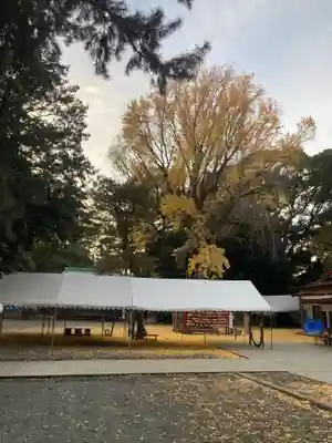 平塚八幡宮(神奈川県)