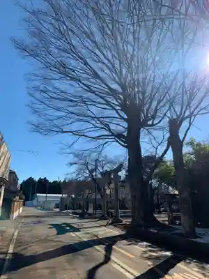 金刀比羅神社(千葉県)