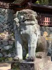 日枝神社の狛犬