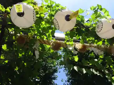 菊名神社のお祭り