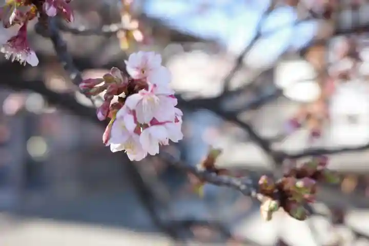 西新井大師総持寺(東京都)