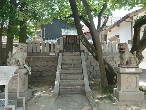 錦神社（錦町）の狛犬