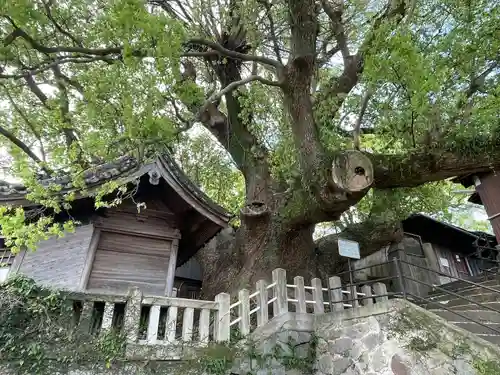 楠稲荷神社(長崎県)
