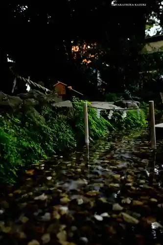 川越氷川神社(埼玉県)