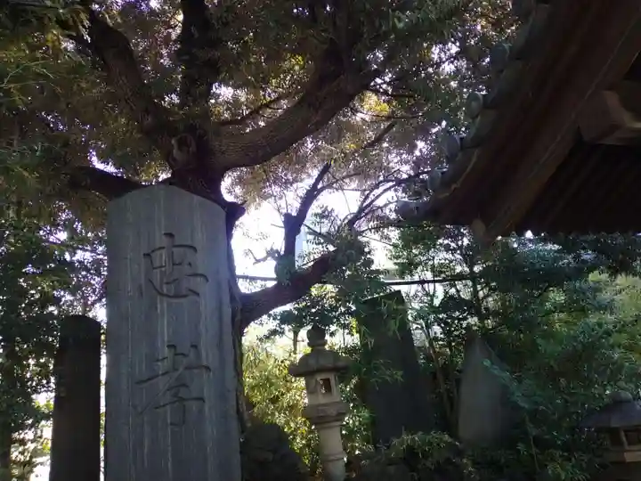 浅間神社(東京都)