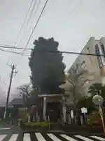 鹿島神宮(茨城県)