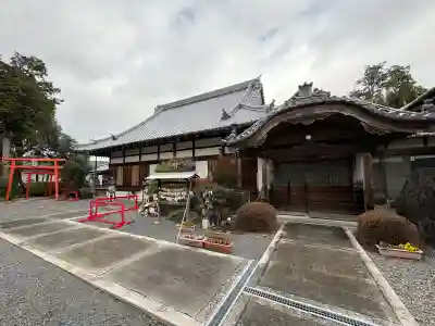 江西寺（祈願だるま寺）の{uncategorized: "未分類", other: "その他", undefined: "問題あり", building: "その他建物", grave: "お墓", sacred_gate: "鳥居", guardian: "狛犬", statue: "像", buddha: "仏像", history: "歴史", nature: "自然", garden: "庭園", animal: "動物", pagoda: "塔", temizu: "手水舎", mountain_gate: "山門・神門", sanctuary: "本殿・本堂", subordinate: "末社・摂社", art: "芸術", scenery: "景色", jizo: "地蔵", ema: "絵馬", goshuin: "御朱印", omikuji: "おみくじ", items: "授与品その他", amulet: "お守り", goshuincho: "御朱印帳", eats: "食事", festival: "お祭り", votive_dance: "神楽", shichigosan: "七五三参", wedding: "結婚式", experience: "体験その他", initially: "初詣", around: "周辺", anti_infection: "感染症対策"}