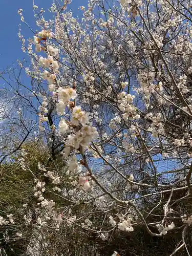 妙法寺(岐阜県)