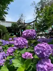 白山神社の自然