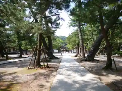 出雲大社(島根県)