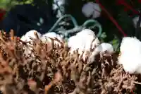 三津厳島神社のその他建物