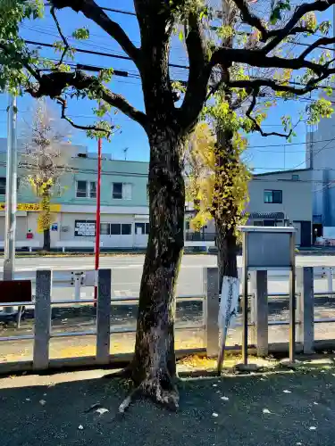 三社宮(神奈川県)