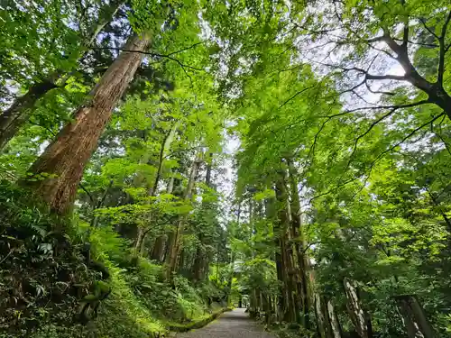 最乗寺（道了尊）(神奈川県)