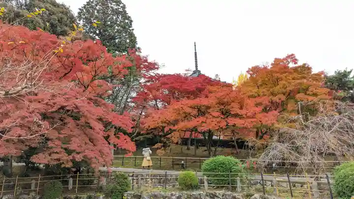 真正極楽寺(真如堂)(京都府)