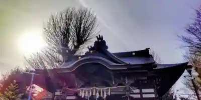 滝野川八幡神社(東京都)