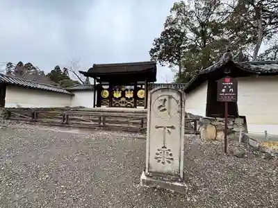 醍醐寺(京都府)
