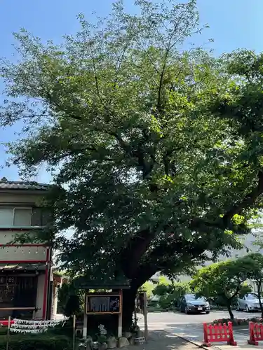 居木神社の庭園